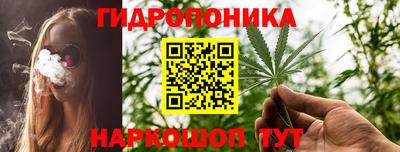 шишки Бузулук