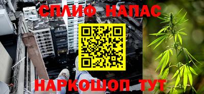 шишки Бузулук